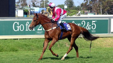 Gumbys Gossip - Pinjarra Cup Day 1st April